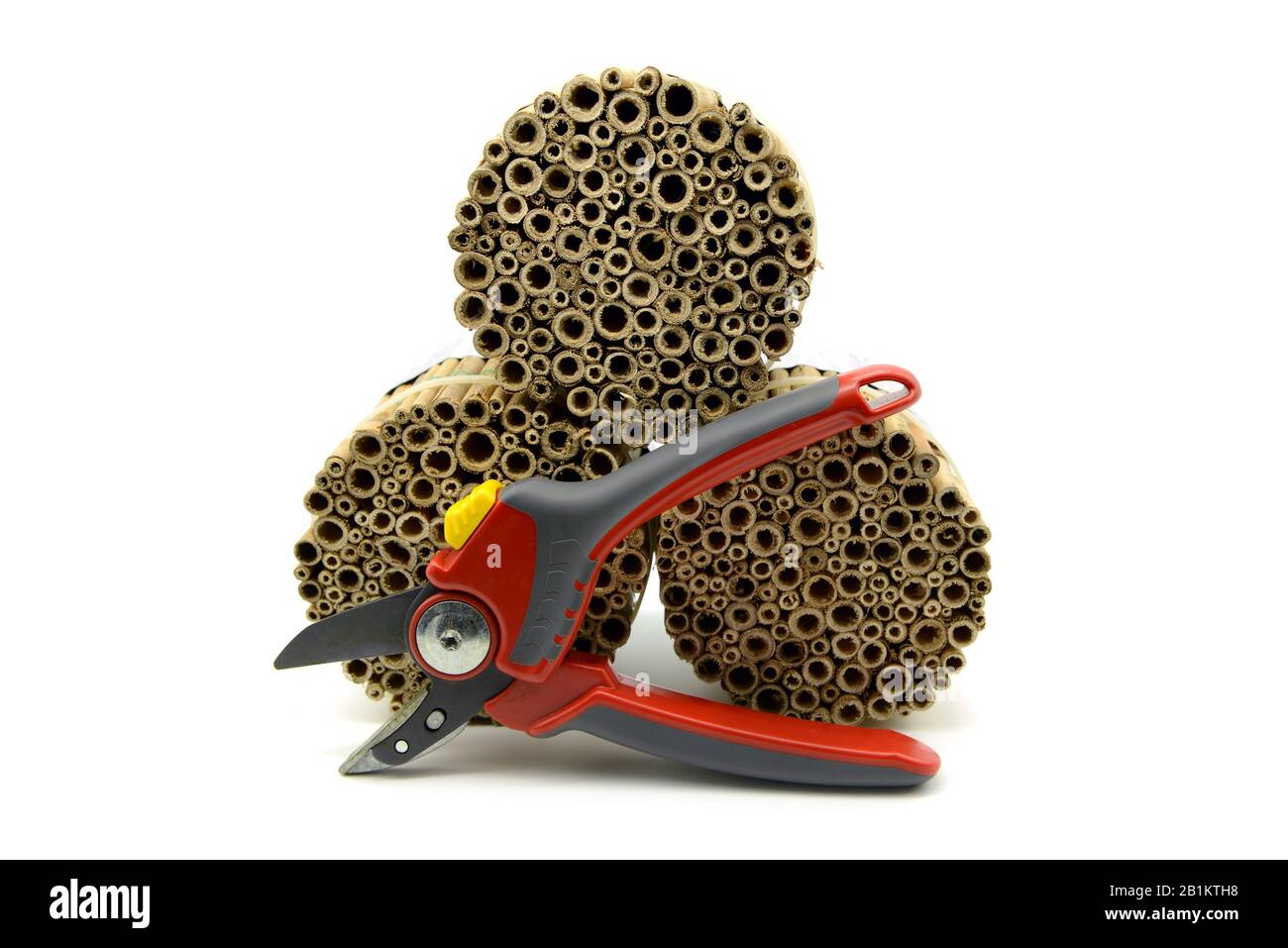 self made insect hotel of bamboo sticks. isolated background. garden shears. Stock Photo