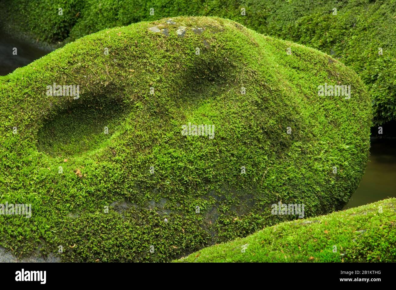 Moss-covered boulders of Roaring Fork in Great Smoky Mountains NP, TN, USA, by Bill Lea/Dembinsky Photo Assoc Stock Photo