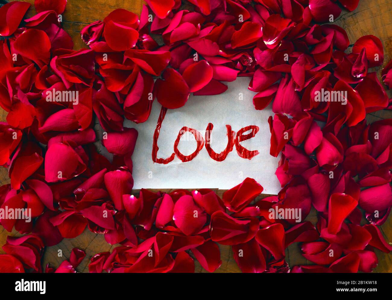 The text I love you surrounded with red rose petals, romantic ...