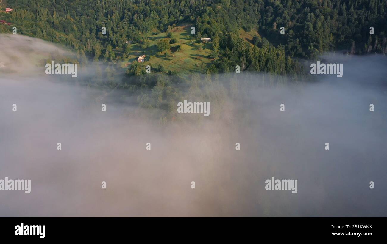 Aerial view of colorful mixed forest shrouded in morning fog on a ...