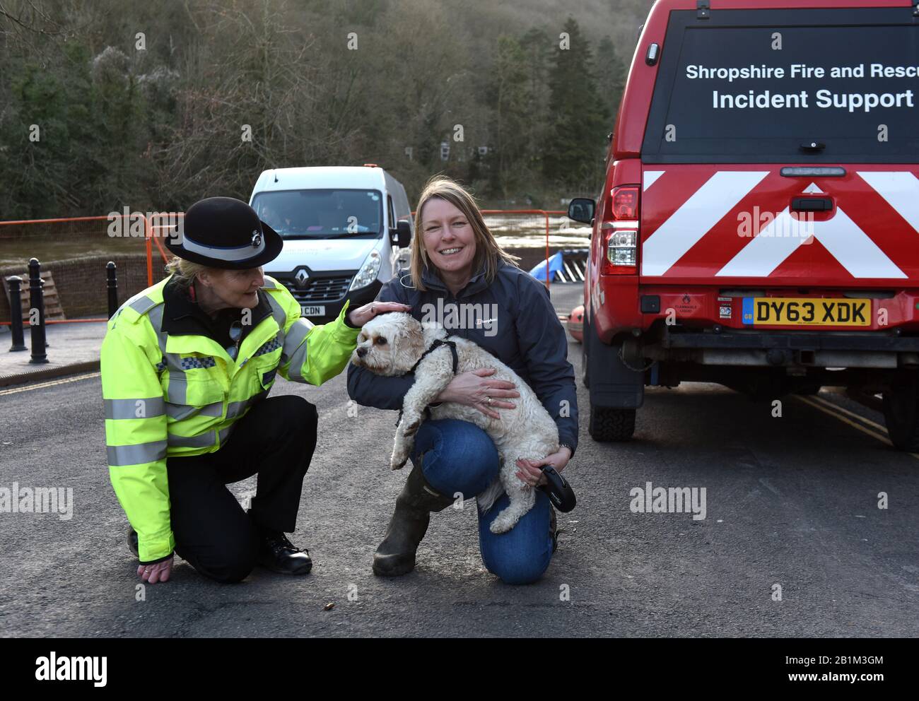 Ironbridge 26th February 2020 It wasn't just people that needed a helping hand when the River Severn flood barriers were compromised. Harry the dog was stranded at home while his was owner was visiting relatives and as she couldn't back in time to evacuate him so she called Telford & Wrekin Council. So Harry is now in safe hands with Councillor Carolyn Healy until owner gets home. Credit: David Bagnall/Alamy Live News Stock Photo