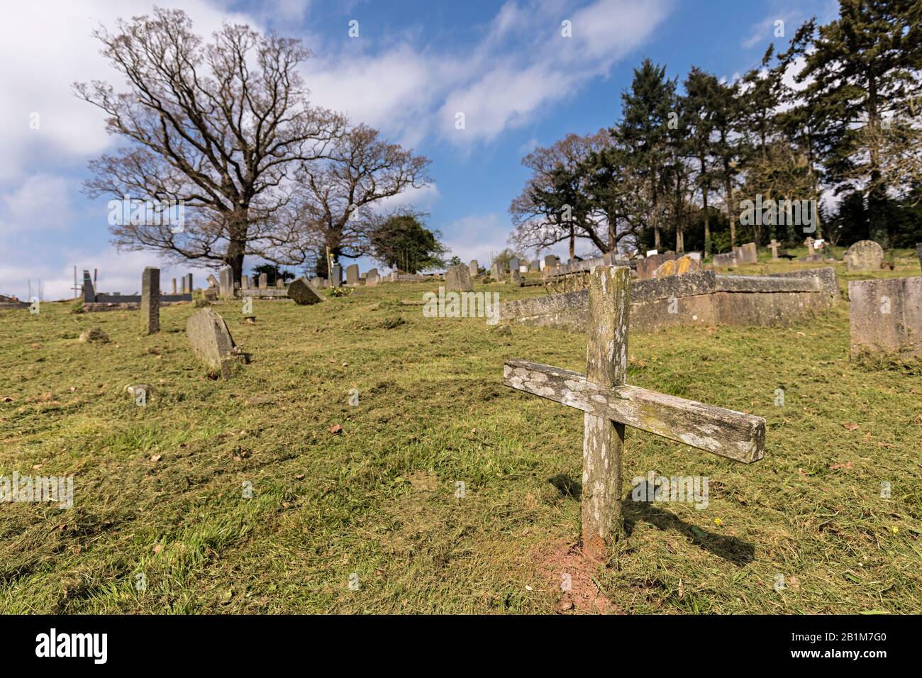 Simple wooden cross marking a grave, Monmouth Cemetery, Wales, UK Stock Photo