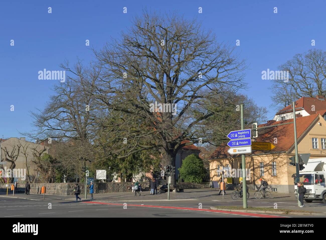 Friedenseiche, Clayallee, Zehlendorf, Berlin Stock Photo