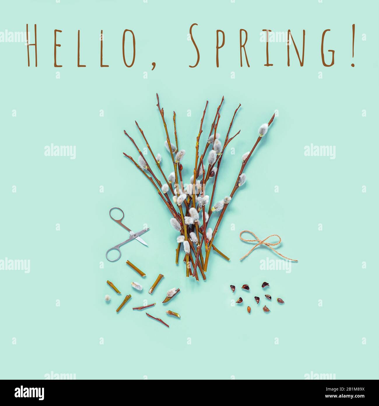 Branches with kidneys, scissors on a light background. Easter spring flat lay concept. Stock Photo