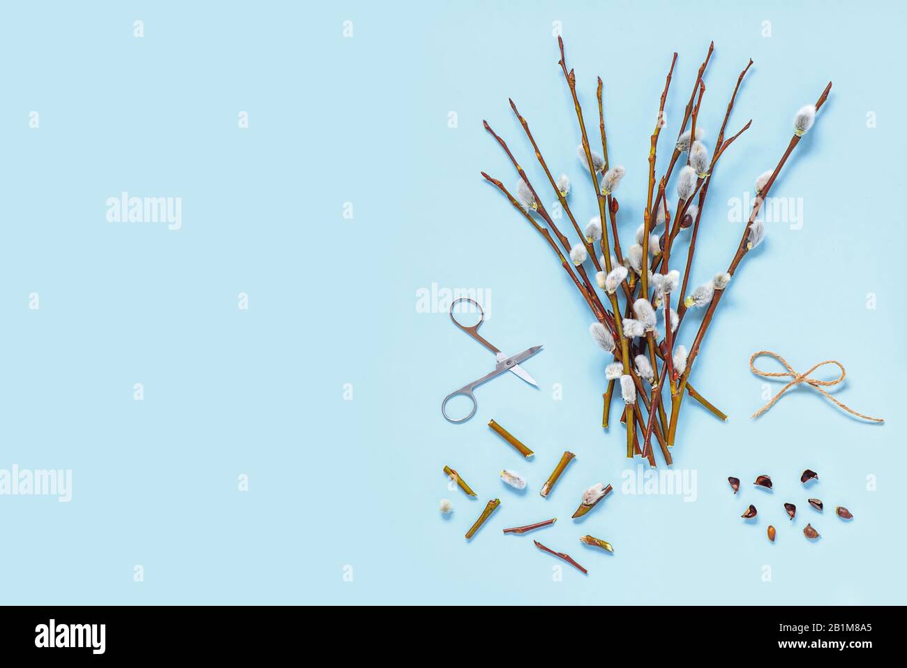 Branches with kidneys, scissors on a light background. Easter spring flat lay concept. Stock Photo