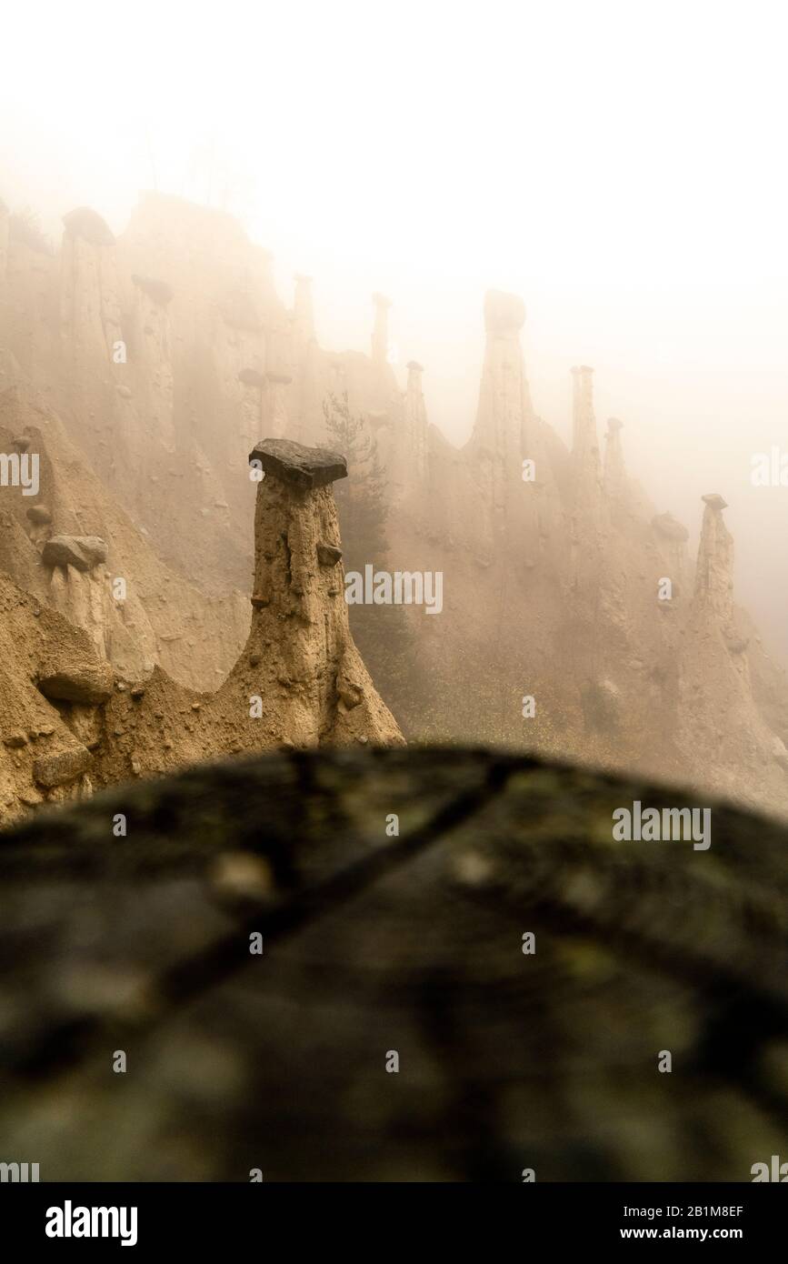 Rock pinnacles of the Earth Pyramids emerging from fog, Perca/Percha, province of Bolzano, South Tyrol, Italy Stock Photo