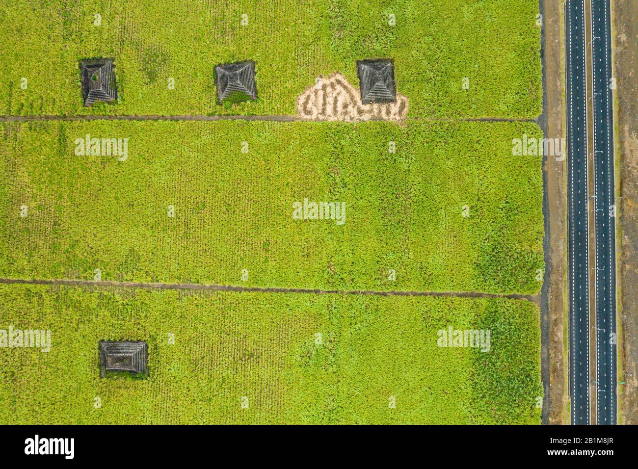 Asphalt road beside the stone pyramids in green fields, aerial view, Plaine Magnien, Grand Port, Indian Ocean, Mauritius Stock Photo