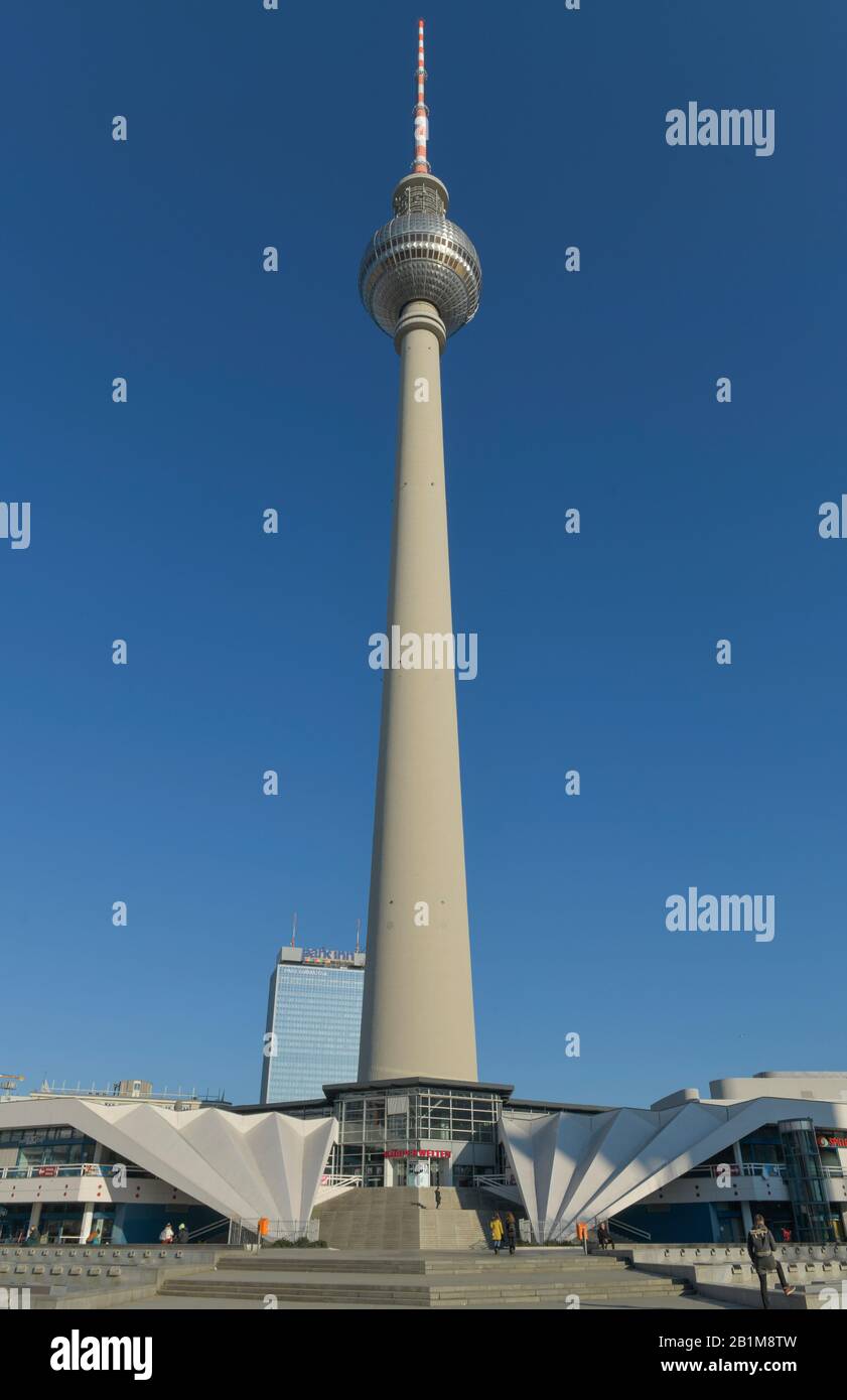 Fernsehturm, Alexanderplatz, Mitte, Berlin, Deutschland Stock Photo