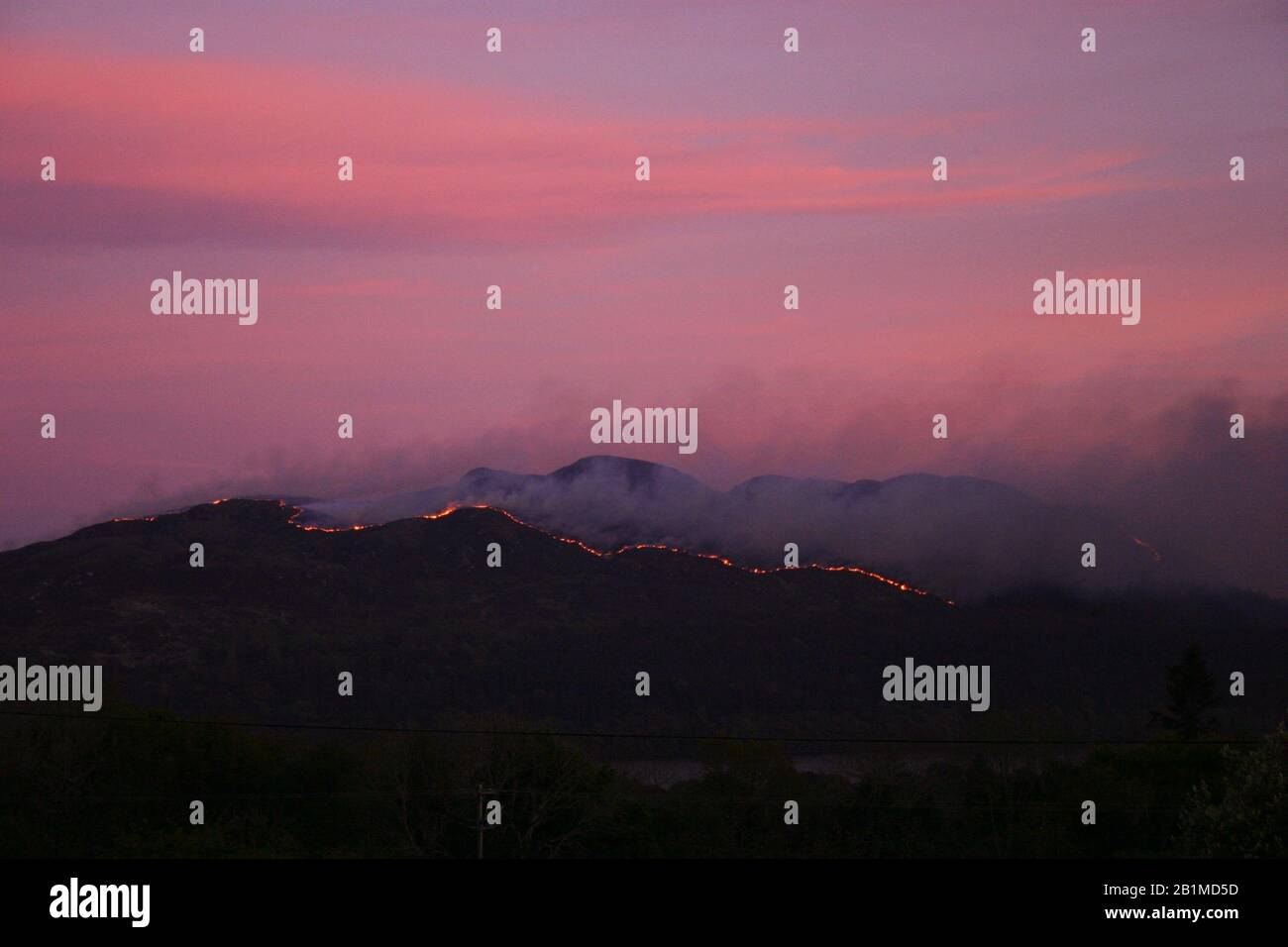 Forest fire on mountain with pink dusk sky backdrop Stock Photo - Alamy
