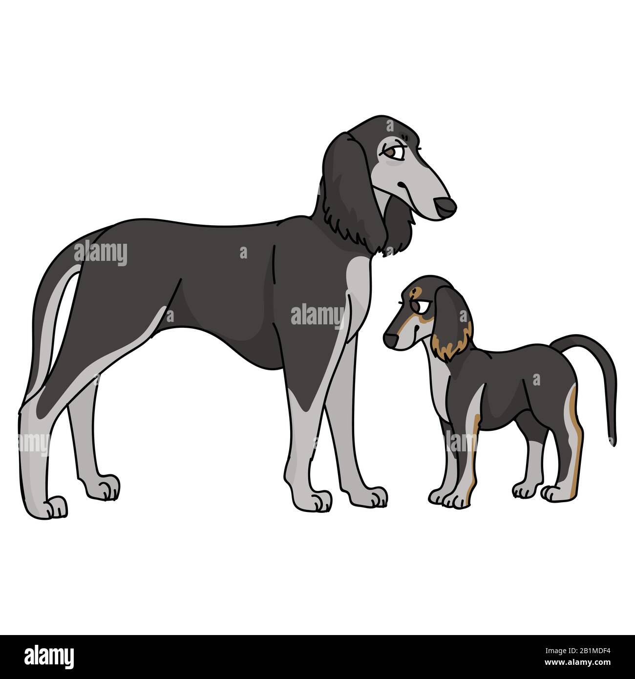 Cute Cartoon Saluki And Puppy Dog Breed Vector Clipart Pedigree Kennel Doggie Breed For Dog Lovers Purebred Domestic For Pet Parlor Illustration Stock Vector Image Art Alamy