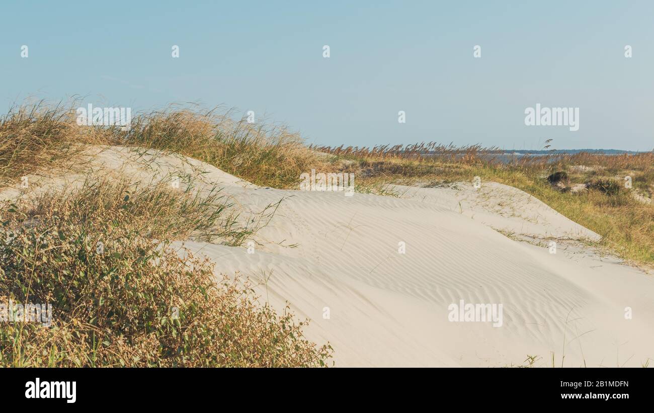 Sand dunes on the beachon a sunny day with tall grass on Jekyll Island ...
