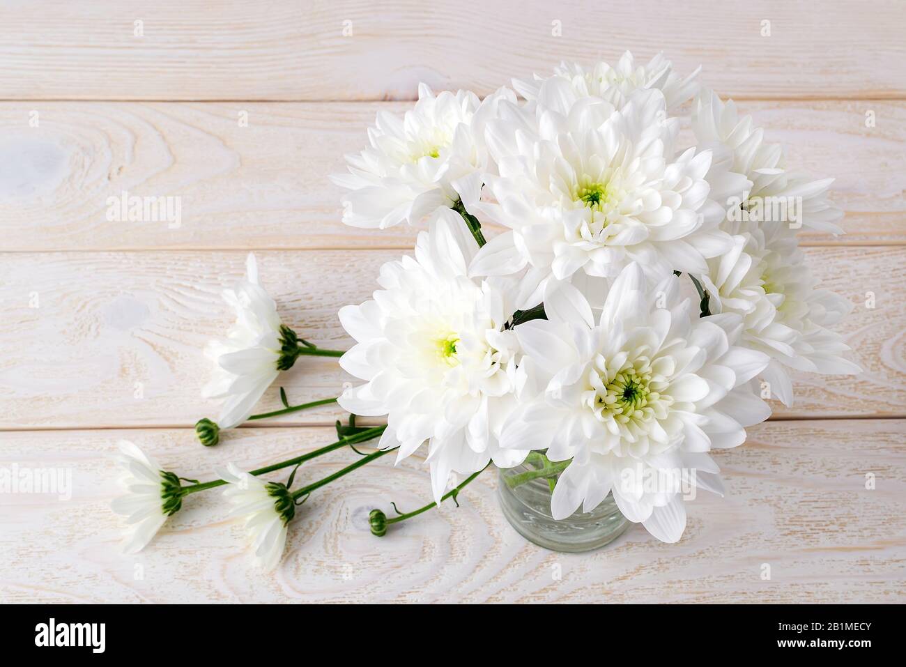 Modest Bouquet High Resolution Stock Photography and Images - Alamy
