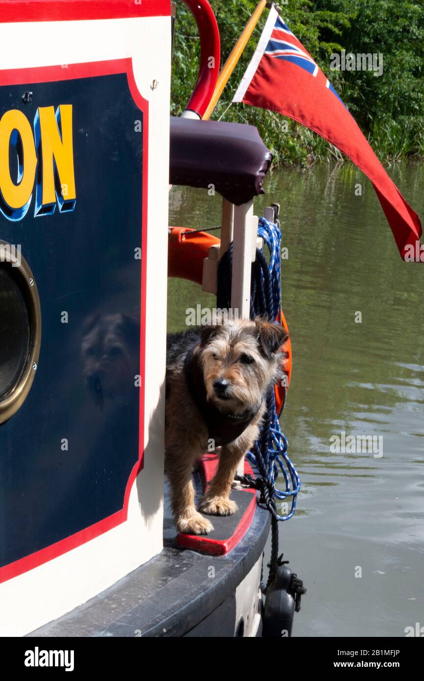 Narrowboat pet hires stock photography and images Alamy