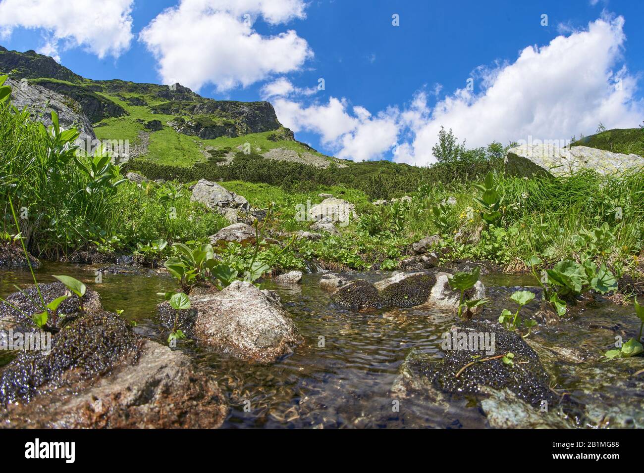 West High Tatras Mountains, Slovakia in Summer with streamlet Stock Photo