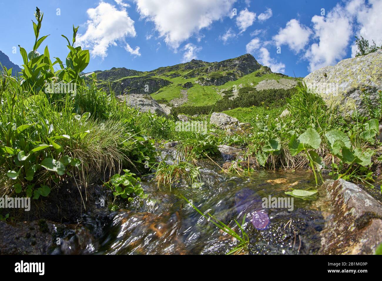 West High Tatras Mountains, Slovakia in Summer with streamlet Stock Photo