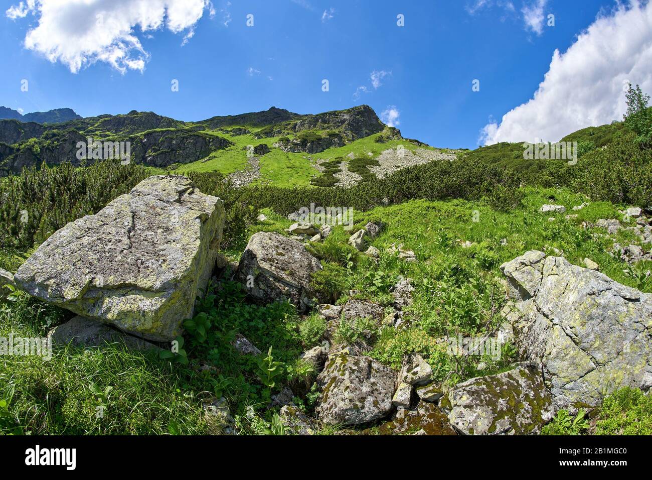 West High Tatras Mountains, Slovakia in Summer with blue sky and clouds Stock Photo