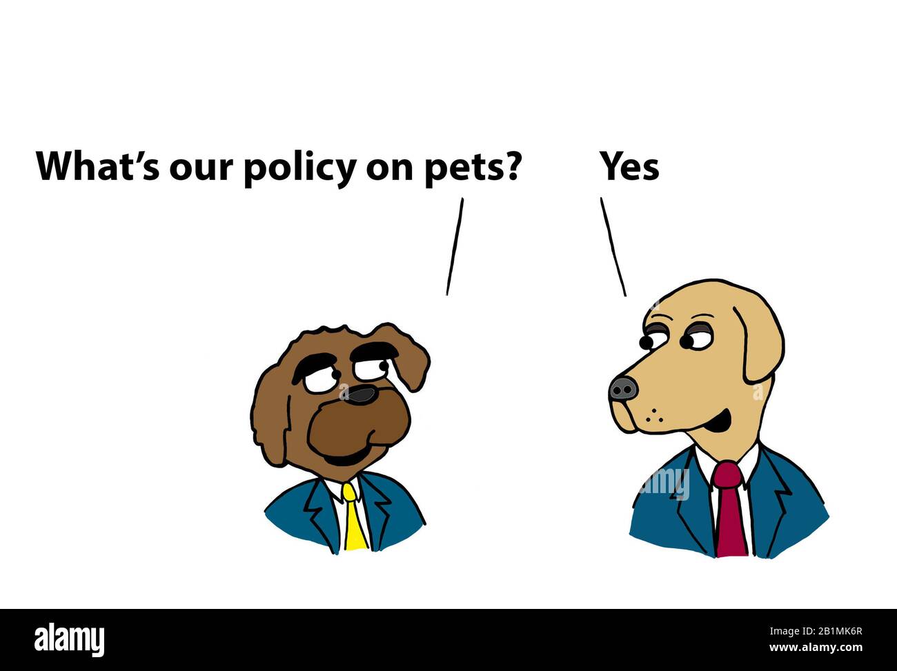 Dog executives discuss the office policy for pets Stock Photo