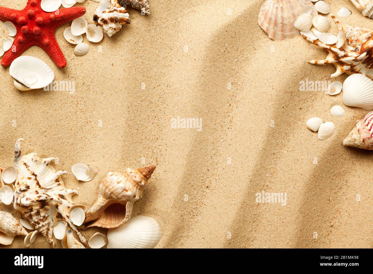 Seashells and starfish on sand background. Top view, flat lay Stock Photo