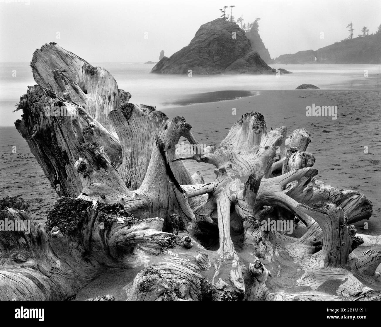 Rocky beach on pacific Black and White Stock Photos & Images - Alamy