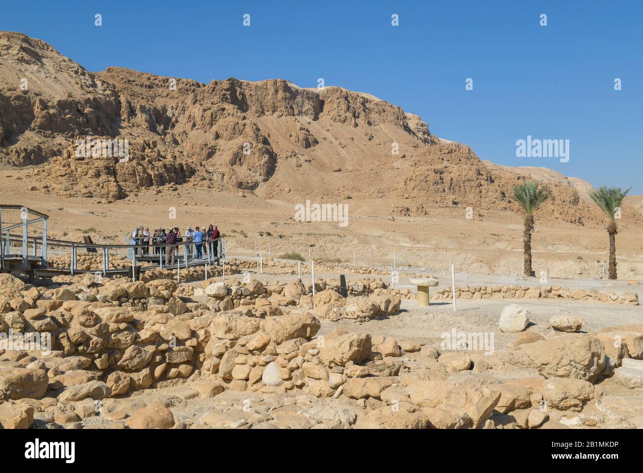 Felslandschaft, Palmen an der Ausgrabungsstätte Qumran, Israel Stock Photo