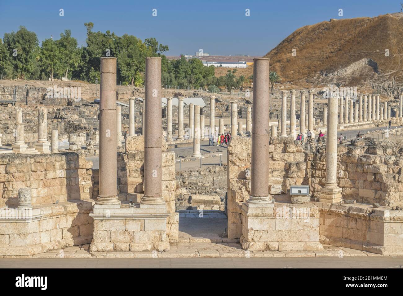 Säulen am Amphitheater, Ausgrabungsstätte Bet Sche´an, Israel Stock Photo