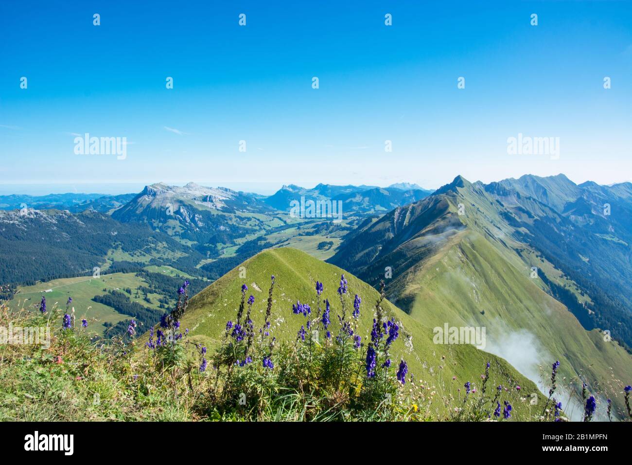 Riedergrat - mountain chain in the Bernese Alps near Lake Brienz / Switzerland Stock Photo
