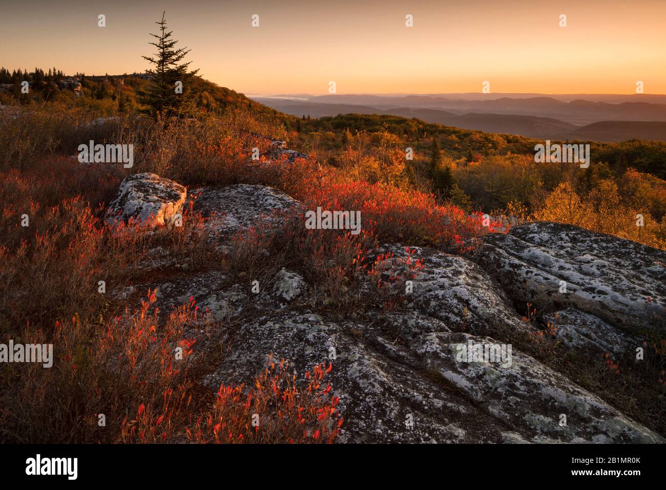 Sunrise at Dolly Sods Wilderness in autumn Stock Photo