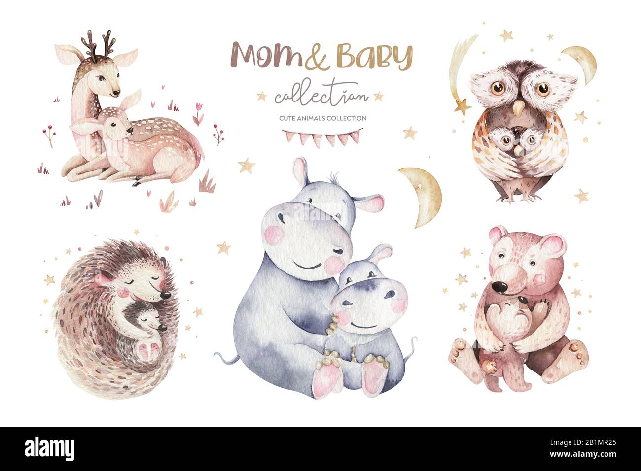 Watercolor little owl, bear deer and hedgehog baby and mother watercolour  cartoon nursery card. Forest funny young animals illustration. Mom and baby  Stock Photo - Alamy