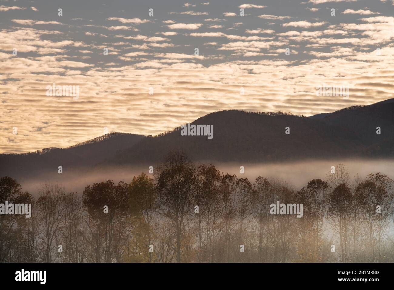 Sunrise in Cade’s Cove, Great Smoky Mountains National Park, Tennessee Stock Photo