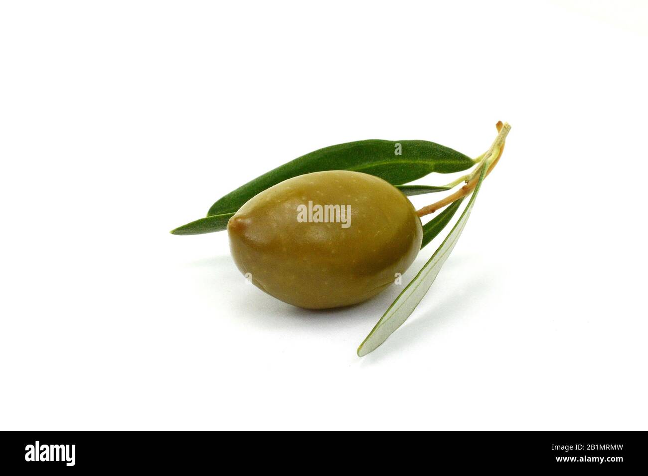 Olive branch with green olives, isolated on white background Stock ...