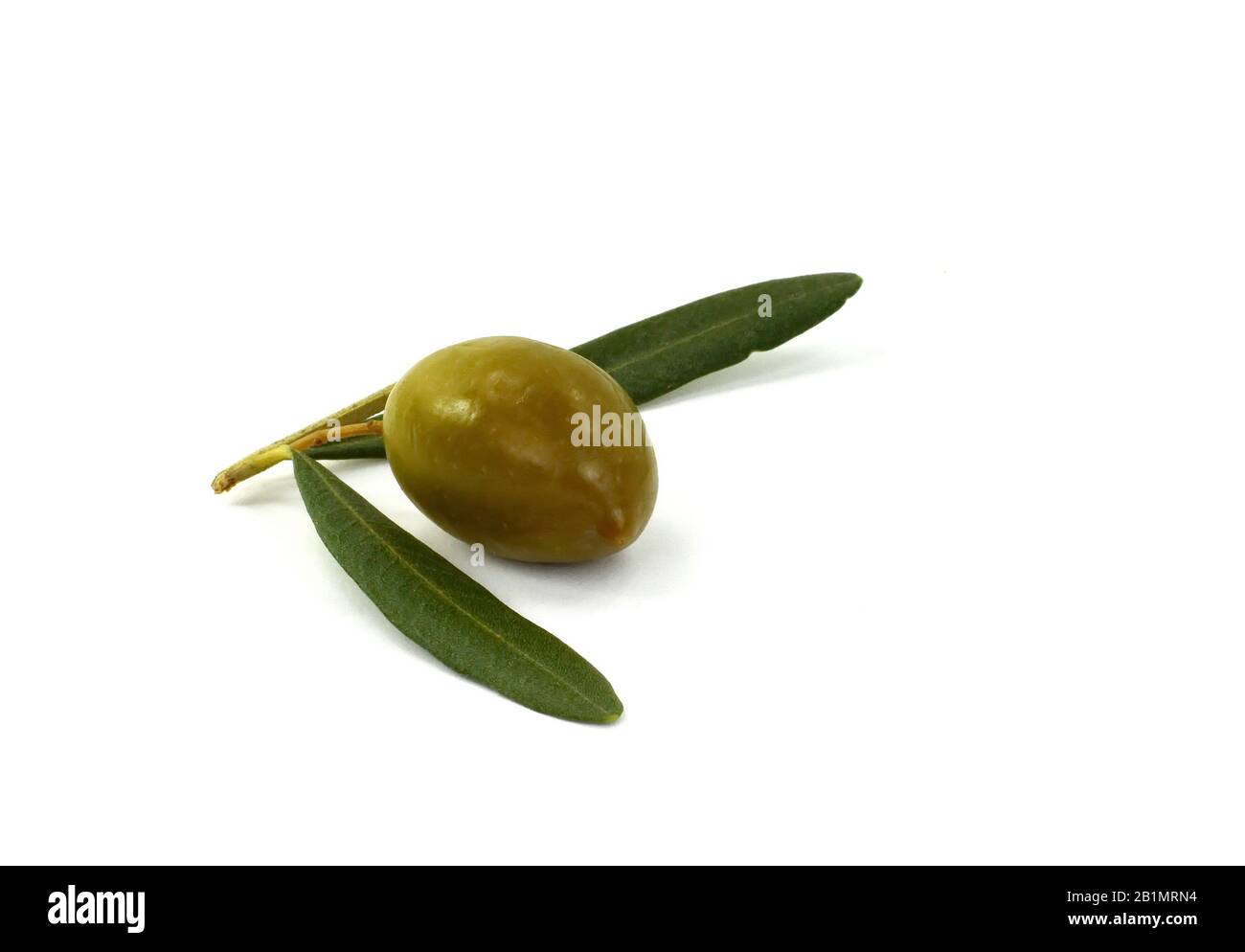 Olive branch with green olives, isolated on white background Stock ...