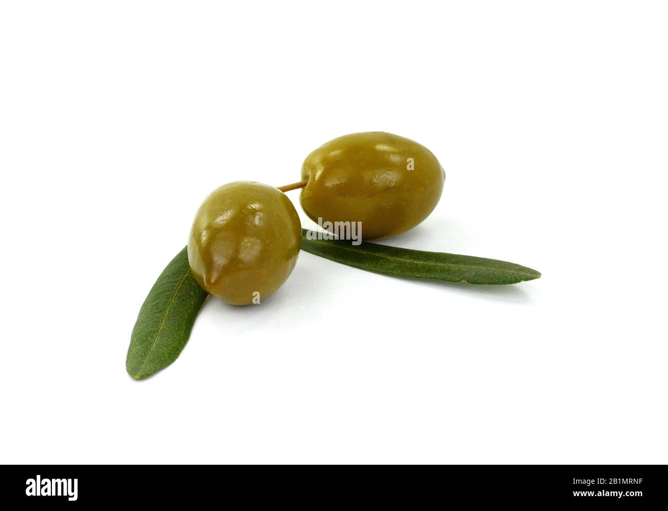 Olive branch with green olives, isolated on white background Stock ...