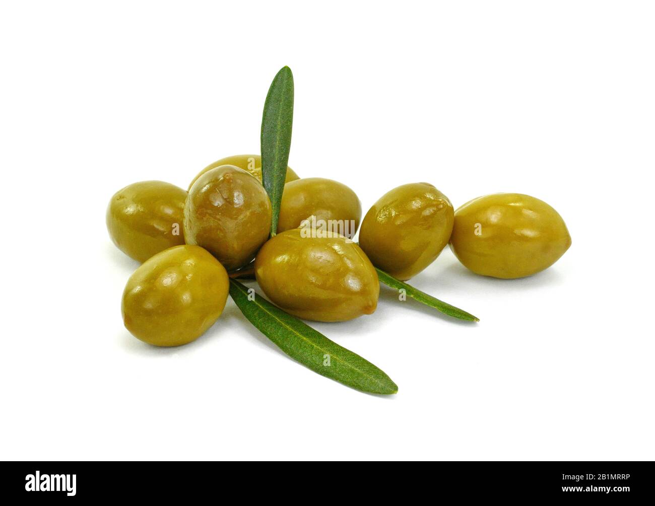 Olive branch with green olives, isolated on white background Stock ...