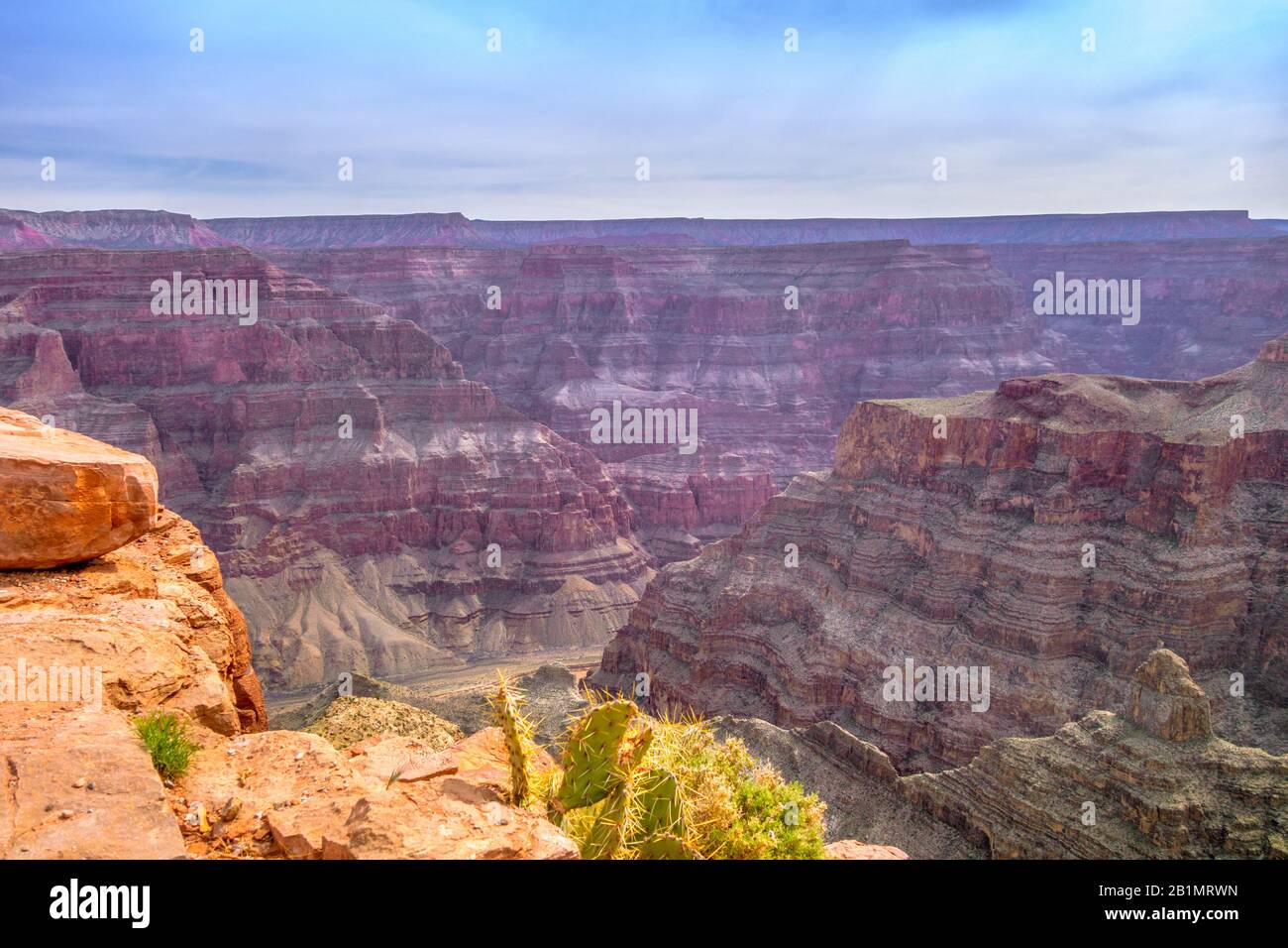Grand Canyon view from Eagle Point with cactus in foreground, Arizona, USA. Royalty free stock photo. Stock Photo