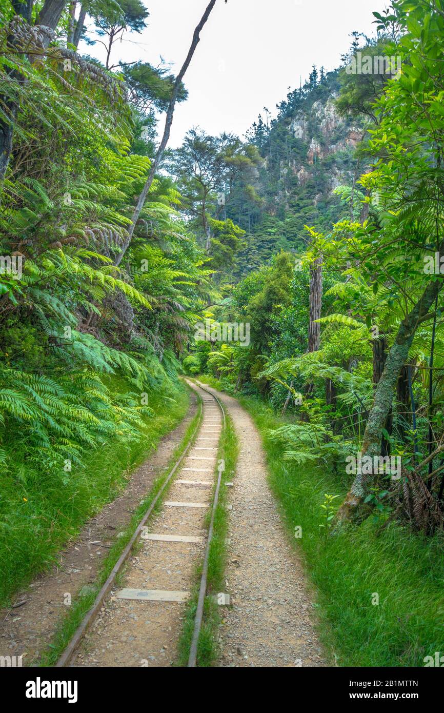 Old mine tracks leading into the jungle at Karangahake Gorge, New Zealand. Royalty free stock photo. Stock Photo