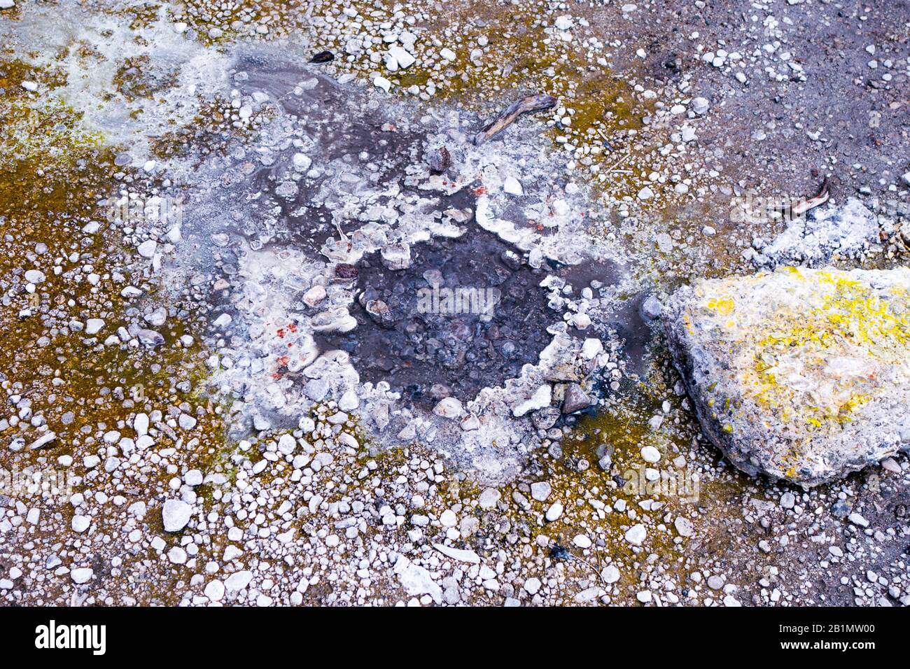 Small bubbling sulphur puddle at Sulphur Bay, Rotorua, New Zealand. Royalty free stock photo. Stock Photo