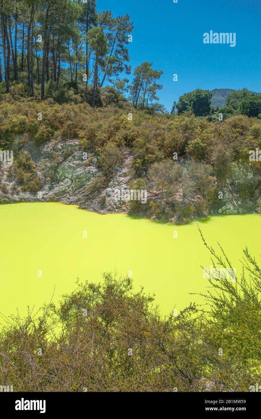 Yellow neon color sulfur pond at Wai-O-Tapu, New Zealand. Royalty free stock photo. Stock Photo