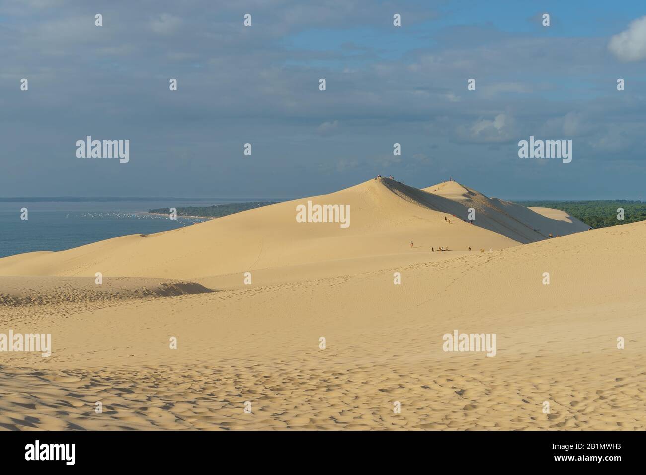 Dune of Pilat Stock Photo Alamy