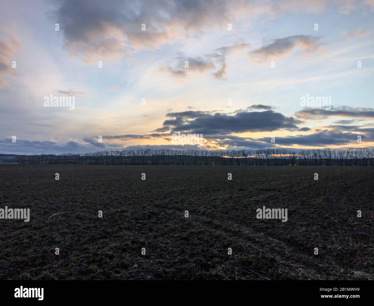 Nice horizon with sunset above the big spring field Stock Photo