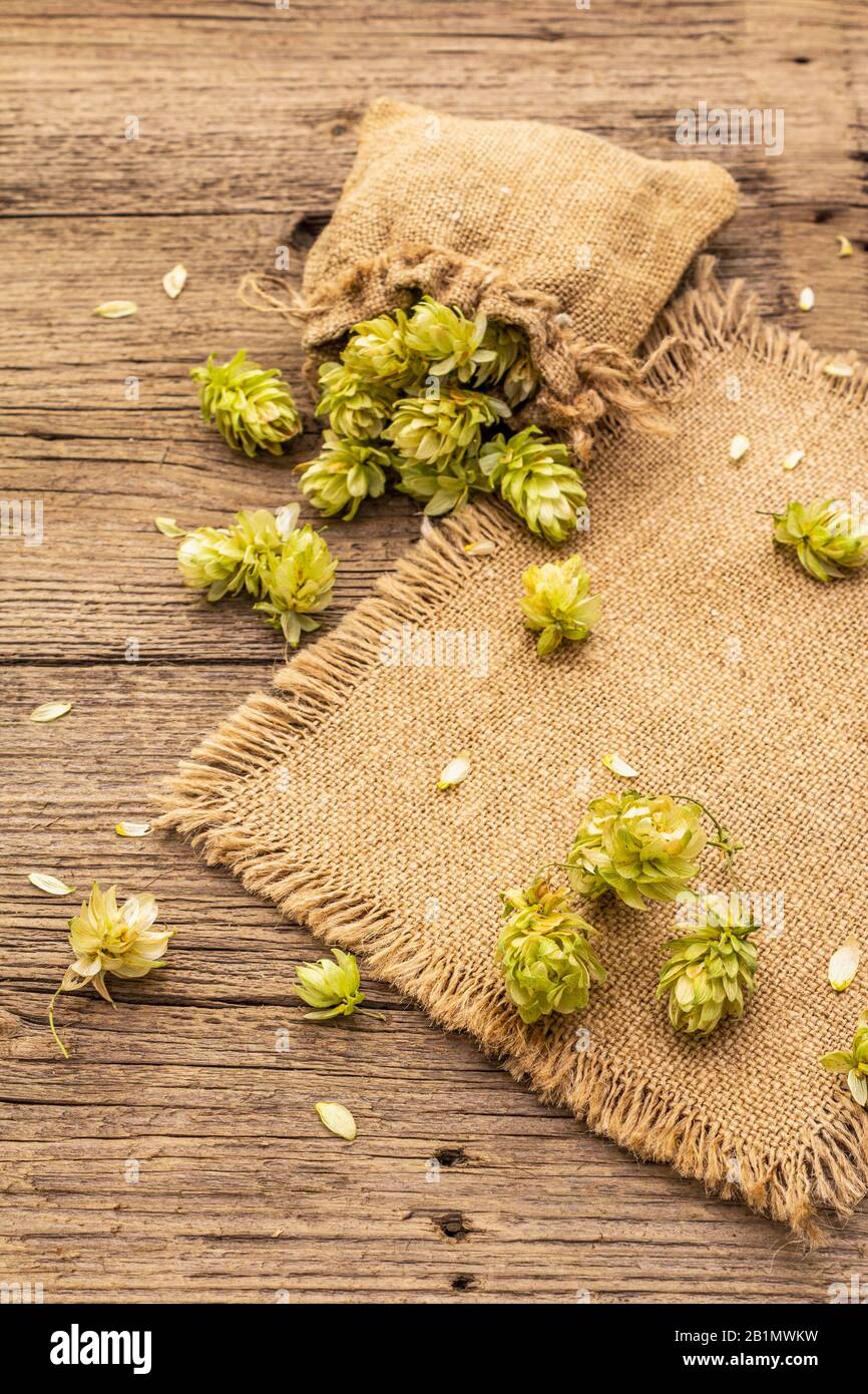 Whole hops in bag on wooden old table. Brewery. Beer ingredients. Sack
