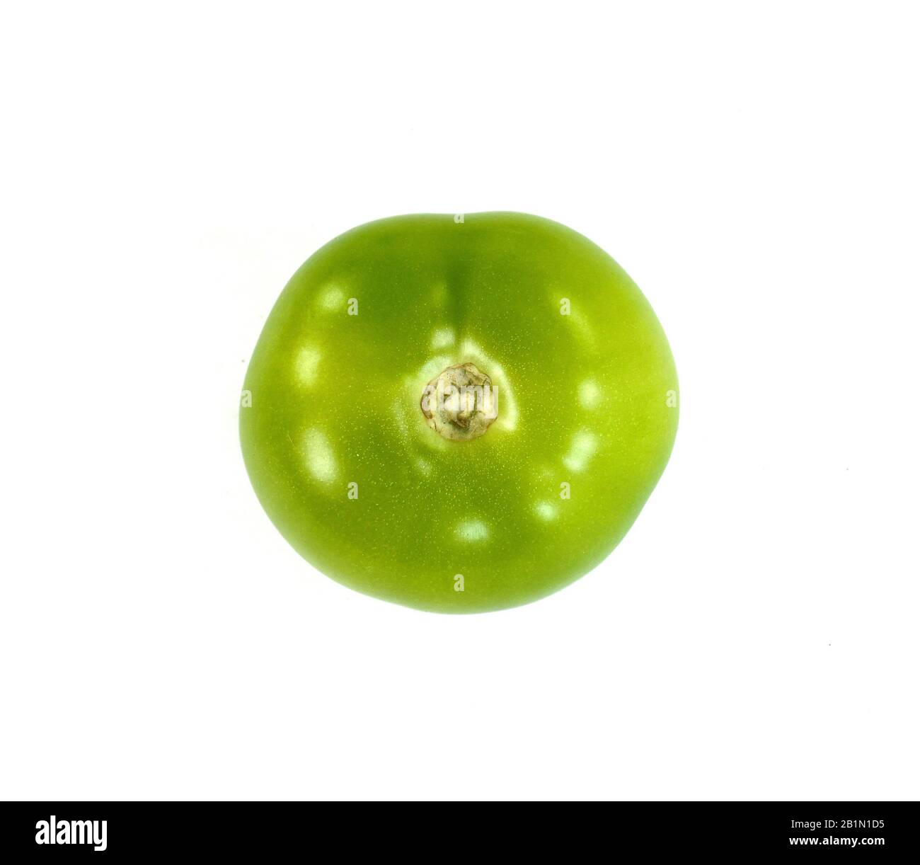 green tomato on white background Stock Photo - Alamy