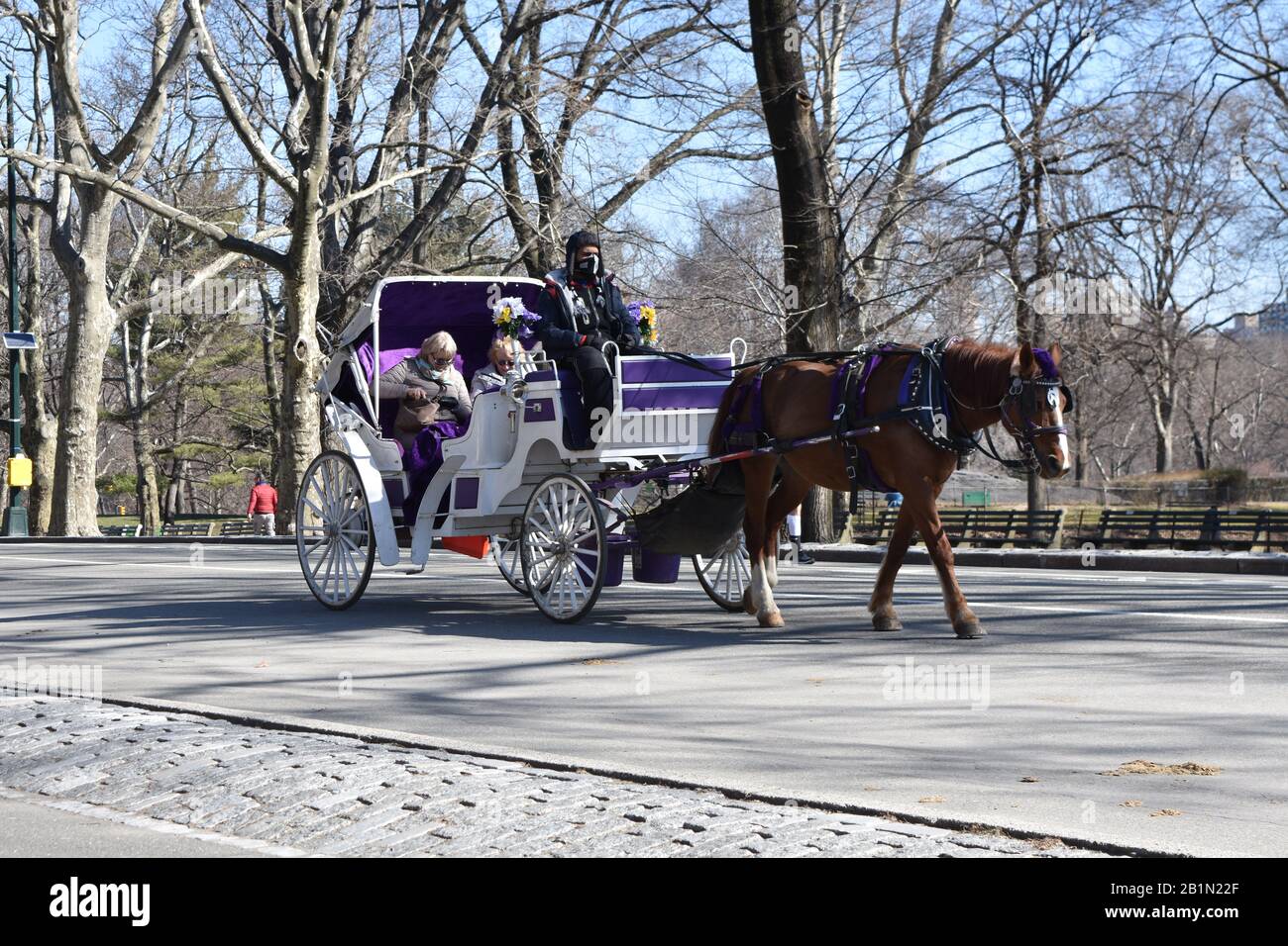 Horse carriage central park winter hi-res stock photography and images ...