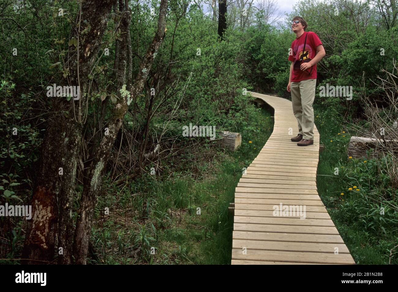 Little Pond boardwalk, White Memorial Conservation Area, Connecticut Stock Photo Alamy