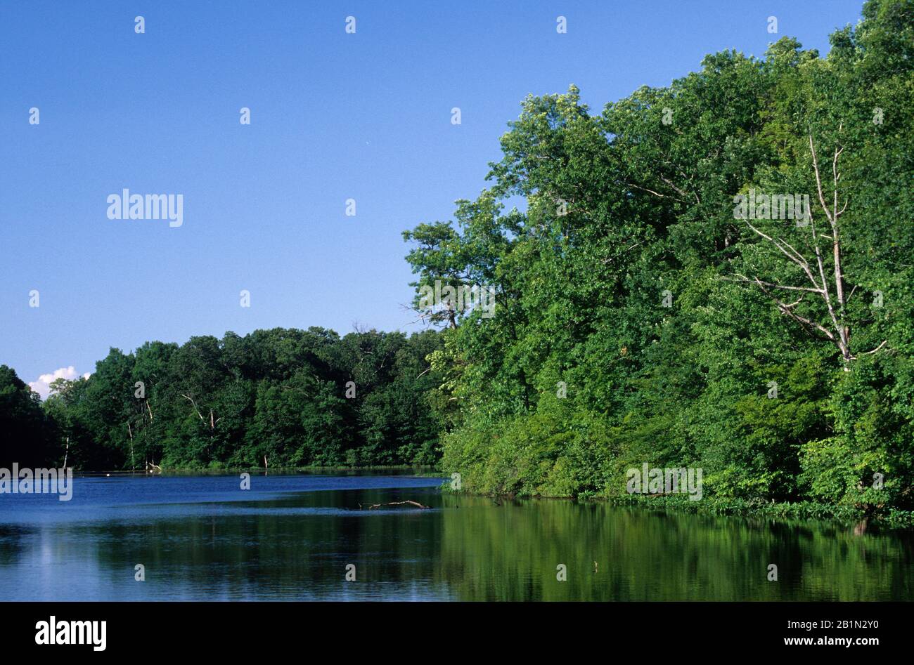 Lower Pond, AW Stanley Park, New Britain, Connecticut Stock Photo Alamy