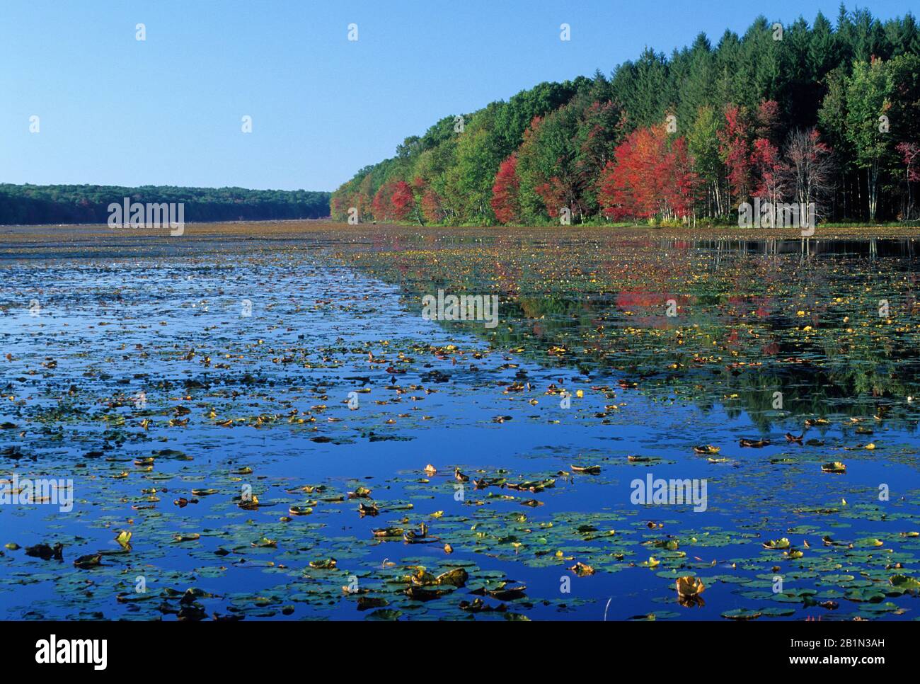 Pine Acres Lake, James L Goodwin State Forest, Connecticut Stock Photo