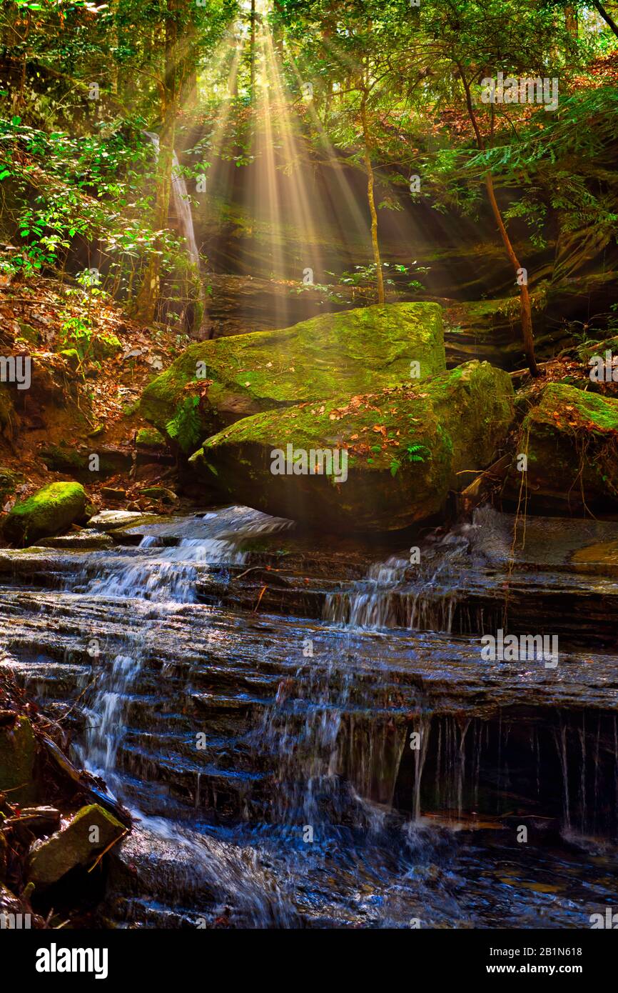 The Sipsey River and a tributary were flowing beautifully on an early