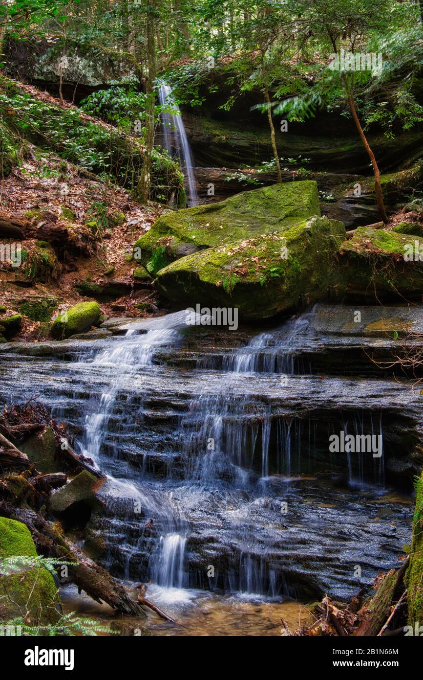 The Sipsey River and a tributary were flowing beautifully on an early