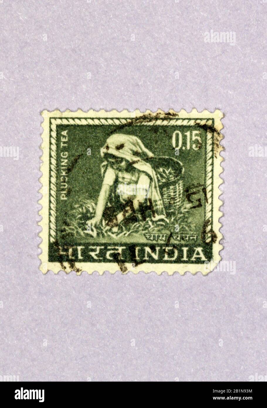 Desplume de té 1965 India, 0,15Rs Stock Photo