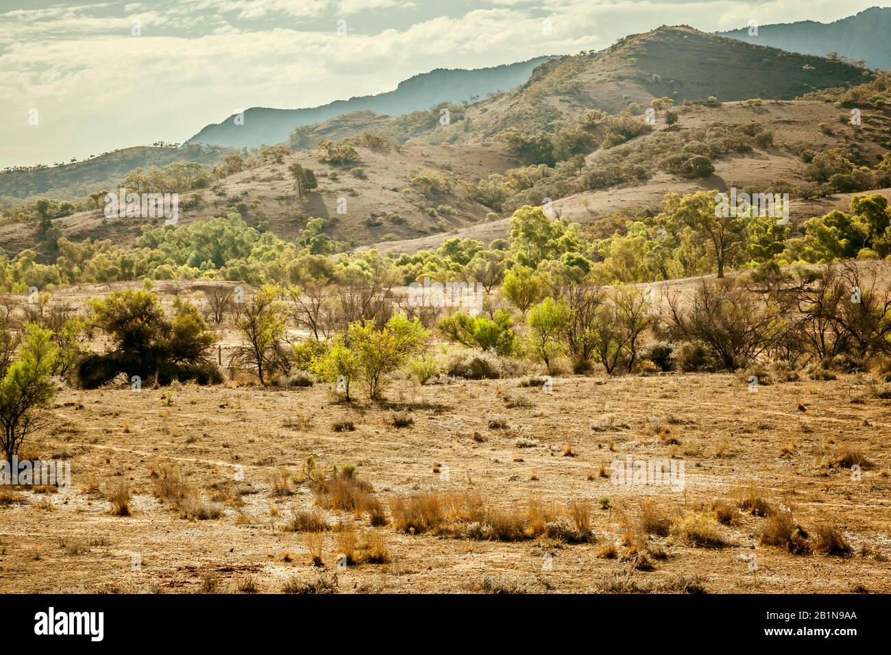 Flinders Ranges, Australia Stock Photo - Alamy