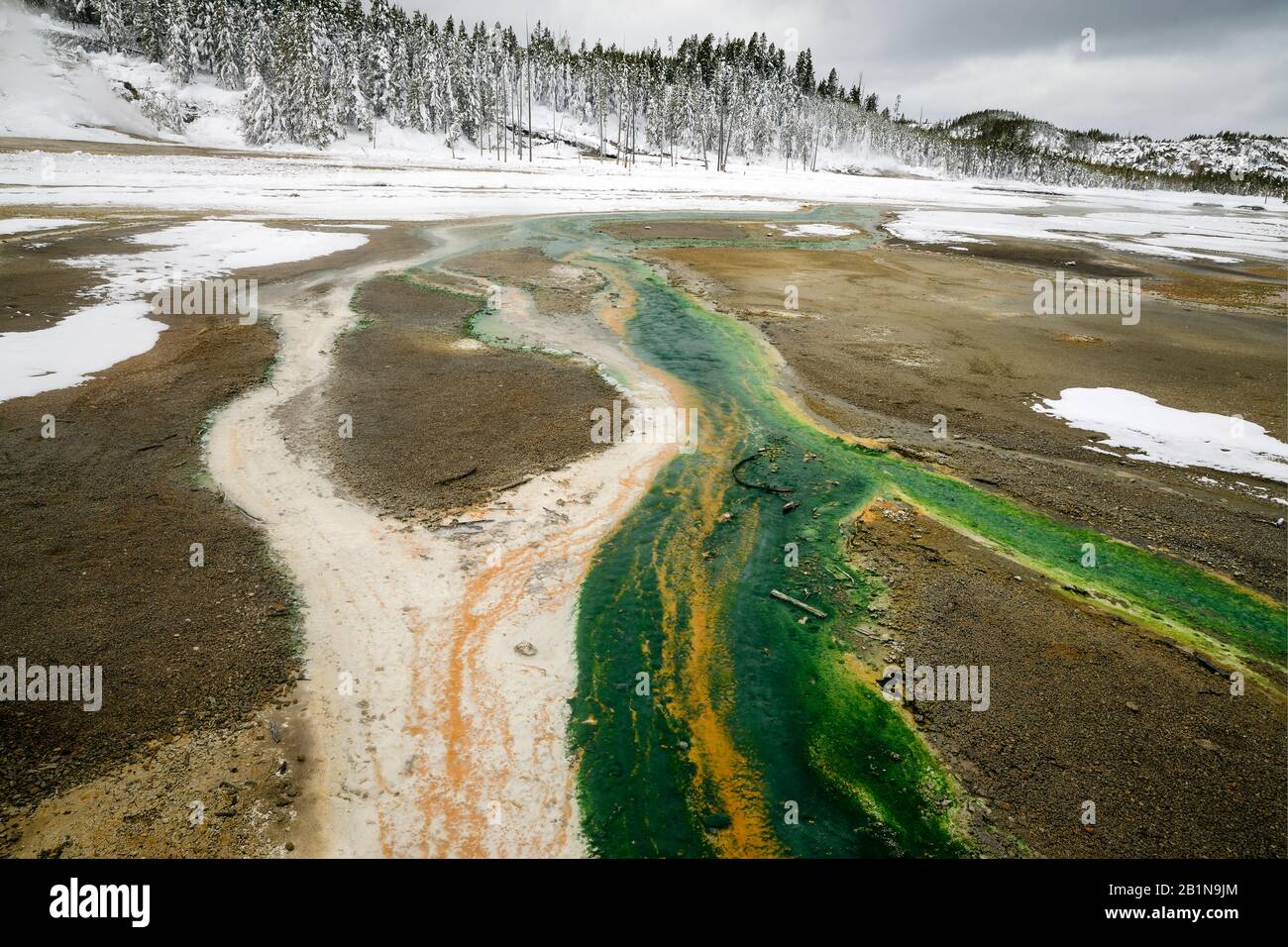 algae bloom, USA, Wyoming, Yellowstone National Park, Norris Geyser Basins Stock Photo